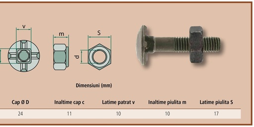 [AMAT3-108348] Șuruburi plug, M12x1,75 - 10.9, 25 buc. - cu pliuliță