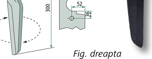 [AMAT3-107768] Dinte pentru grapa rotativa - stânga