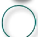Amazone O-ring 94,85 x 3,5 mm