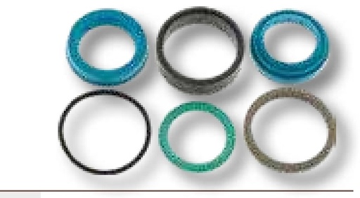 [AMAT3-114791] Amazone Cilindru hidraulic - Cu dublu efect