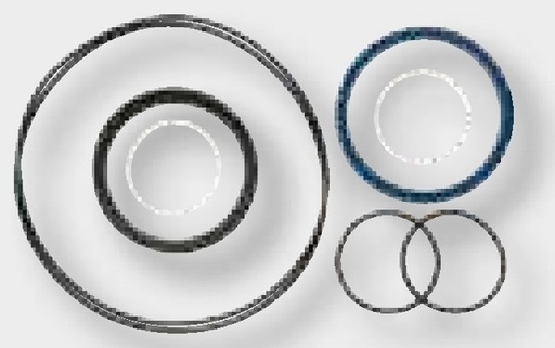 [AMAT3-116349] Baltrotors Set de etansare GR10