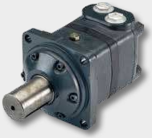 [AMAT3-116754] WHITE Motor hidraulic OMV 315 215 mm