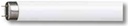 Philips Tub LED 1500 mm