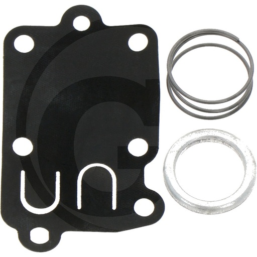 [AMAT3-122483] Set membrana carburator - inclusiv arcul diafragmei și inelul diafragmei