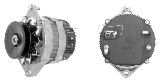 [AMAT3-127511] MAHLE Generator 14 V / 65 A