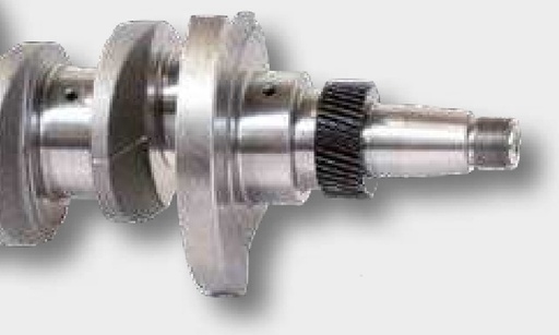 [AMAT3-131823] Arbore cotit 4 cil. - Standard, 6 orificii