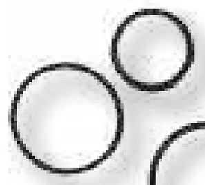 [AMAT3-133597] Set de etansare - pentru cilindrii directie