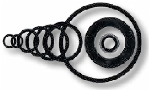 [AMAT3-133746] Set inel de etansare