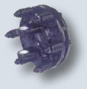 [AMAT3-136921] Walterscheid Arbore cardanic 400E