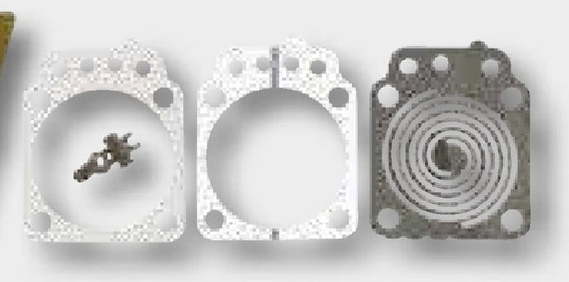 [AMAT3-139908] Walbro Set membrane spiralate - K2-WYTA