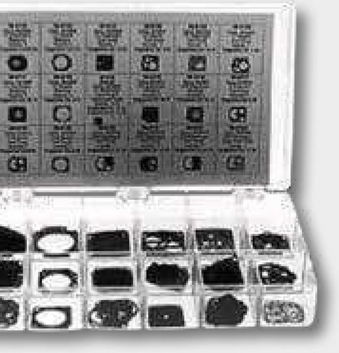 [AMAT3-139497] Sortiment piese carburator - passend für Tillotson HS & HU Vergaser