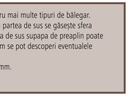 MZ Supapa de preaplin Art. 0160 DN 45 130 mm