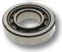 Jurop Rulment cu bila - NUP309 ECJ/C3 DL 150, DL 180, DL 250 1x asamblata pe pompa