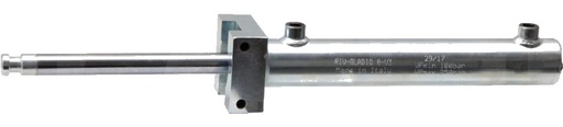 [AMAT3-145712] RIV Cilindru hidraulic - cu actiune dubla