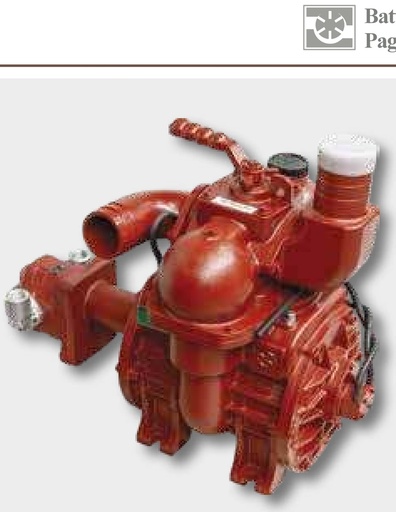 [AMAT3-147289] Battioni Pagani Pompa vacuum MEC - LONG LIFE