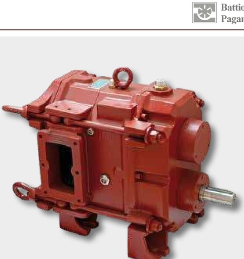 [AMAT3-147331] Battioni Pagani Pompa cu pistoane rotative BR EVO 170/P