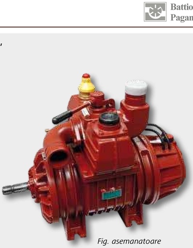 [AMAT3-147372] Battioni Pagani Vakuumpumpe Star72 DV LF SX D100 STD Star72 DV LF SX D100 STD