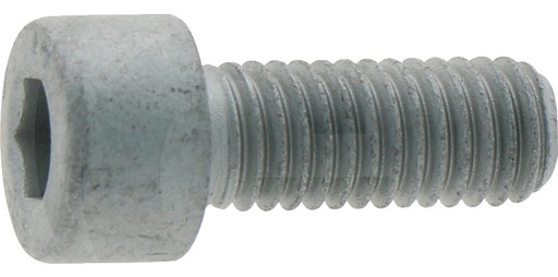[AMAT3-147564] Eckart Surub cilindric - ptr E4000GLD M8 x 29