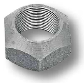 [AMAT3-149757] Piulita - conica