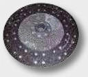 LUK Disc 310USF - organic, rigid