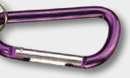 [AMAT3-152181] Pewag Carabina cheie