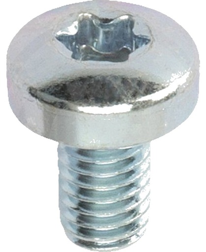 [AMAT3-155016] Șurub cu cap crestat M6x10 10 mm