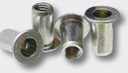 VE 250 Piulite cu cap plat M6-60 11,0 mm