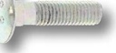 Maschio Surub 10 x 40 mm