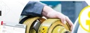 TECALEMIT Pompă hibridă „Hornet W 85 H X” G 2"