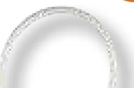 [AMAT3-157124] Pressol Pulverizator sub presiune Volum de umplere 500 ml, Furtun flexibil 470 mm lungime, Conducta de aspiratie lungime