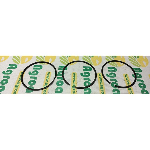 [AMAT1-32133] Set Segmenti Kolbenschmidt 1902440