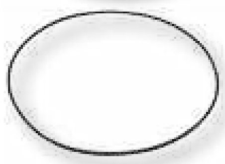 [AMAT3-164826] ZF O-ring 200 x 4 mm