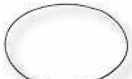 [AMAT3-164830] ZF O-ring 250 x 4 mm