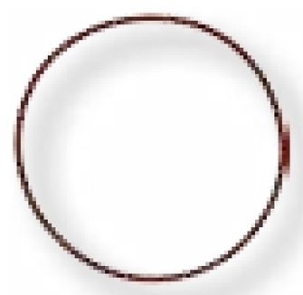 [AMAT3-164972] ZF Lagar de alunecare - für Kupplungsgabel
