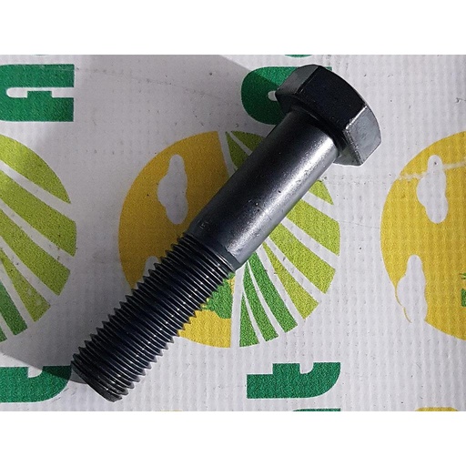 [AMAT1-32361] Surub cap Hexagonal  M20x100mm