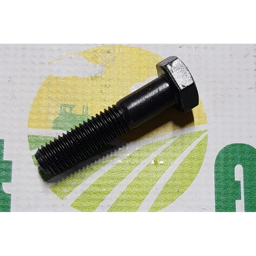 [AMAT1-32459] Surub Cap Hexagonal M12x55mm
