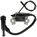 Loncin Bobina de inductie