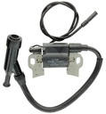 Loncin Bobina de inductie
