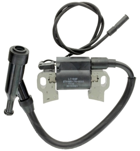 [AMAT3-166286] Loncin Bobina de inductie