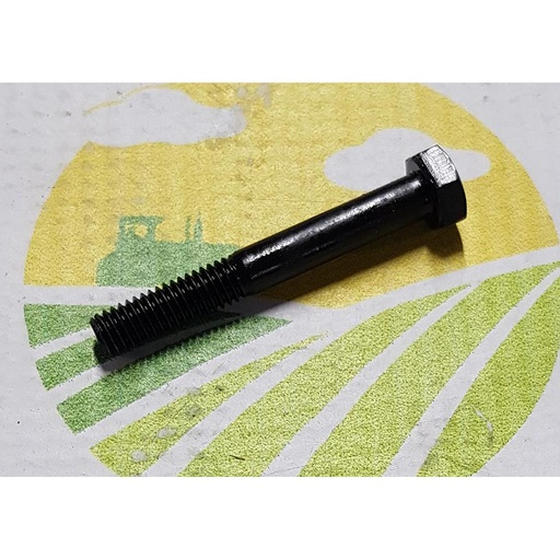 [AMAT1-32612] Surub Cap Hexagonal M6x45mm
