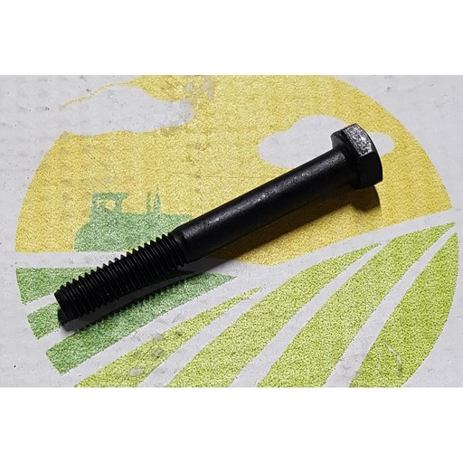 [AMAT1-32613] Surub cap hexagonal  M6x50mm