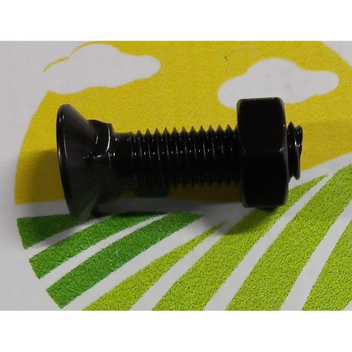 [AMAT1-32702] Surub Plug cu Gat Patrat M10x40mm