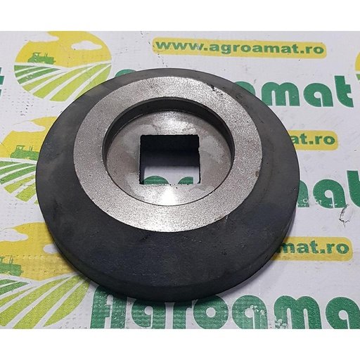 [AMAT1-32742] Semimosor Lagar Mare P36