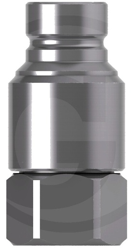 [AMAT3-175695] Cejn Niplu G 3/4" filet interior NBR 08