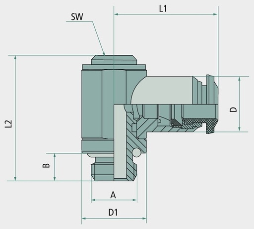 [AMAT3-172946] BK-WS-14-1/2-MSv Cot pivotant G 1/2"