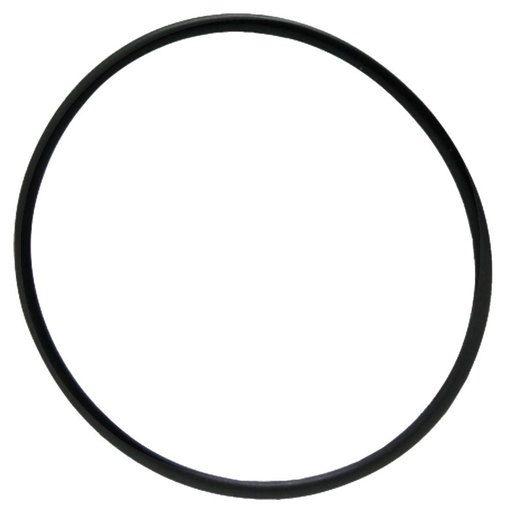 [AMAT3-174665] O-Ring - Senzor rezervor combustibil