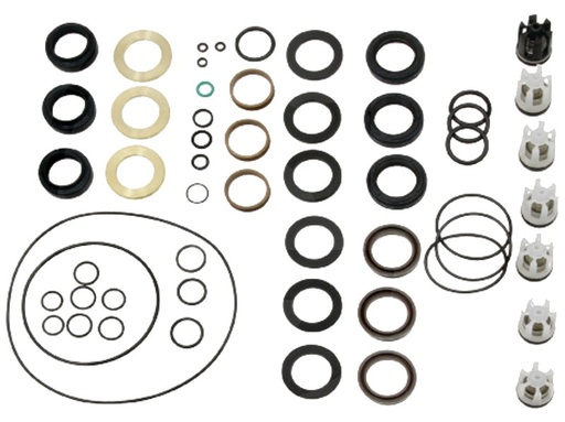 [AMAT3-177225] Kärcher Kit de etansare pompe