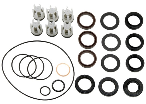 [AMAT3-177226] Kärcher Kit de etansare pompe