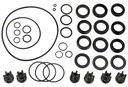 Kärcher Kit de etansare pompe