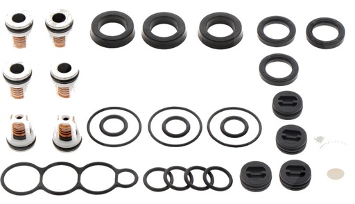 [AMAT3-177229] Kärcher Kit de etansare pompe